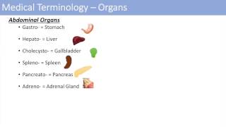 Medical Terminology  The Basics  Lesson 1 [upl. by Shanna]