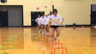 Discover Plyometric Drills Designed for Volleyball  Volleyball 2015 43 [upl. by Rriocard]