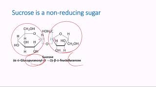 Nonreducing Sugars [upl. by Garnett28]