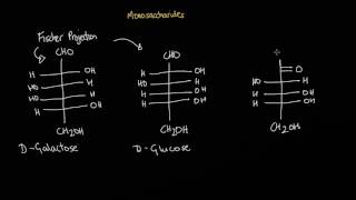 Monosaccharides Structure amp Classification [upl. by Alexandra341]