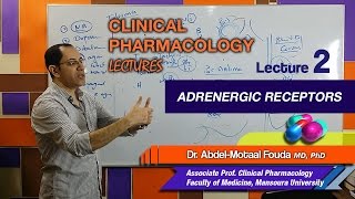 Autonomic Pharmacology Ar  Lec 02  Adrenergic Receptors [upl. by Khalid]