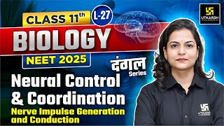 Class 11 Biology  Neural Control and Coordination  NEET 2025  L27  Dr Ronak Maam [upl. by Zednanref]