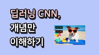 딥러닝 CNN 개념만 이해하기 [upl. by Aggarwal]