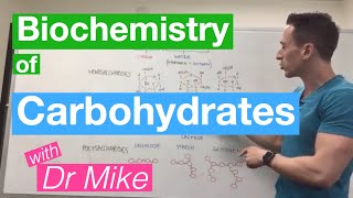 Carbohydrates  Biochemistry [upl. by Ahsimek]