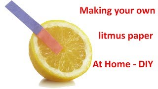 Make Litmus Paper from A4 Paper at Home By Yourself  DIY [upl. by Berman241]