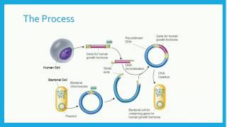 Recombinant DNA [upl. by Atirys]