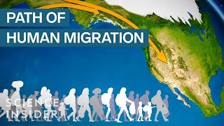 Map Shows How Humans Migrated Across The Globe [upl. by Garnett]