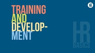 HR Basics Training and Development [upl. by Llerreg]