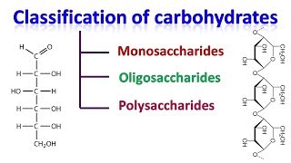 Carbohydrates  classification of carbohydrates [upl. by Nelav]