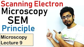 Scanning electron microscope principle working SEM [upl. by Ynnob]