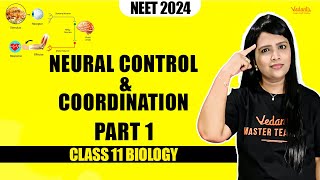 Neural Control and Coordination Part 1  Class 11 Biology  NEET 2024  Parveen Maam [upl. by Yrroc]