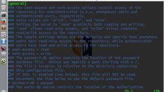 SVN Command Line Tutorial 1 [upl. by Nywde]