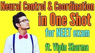 Neural Control and Coordination in One Shot for NEET ft Vipin Sharma [upl. by Maxantia972]