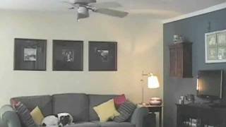 Doityourself Ceiling Fan Brace Installation Westinghouse [upl. by Eissehc131]