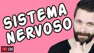 SISTEMA NERVOSO  FISIOLOGIA  Aula  Biologia com Samuel Cunha [upl. by Esened]