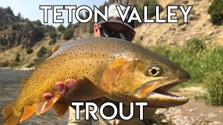 Teton Valley Trout  Ultimate Idaho Fly Fishing [upl. by Ettenej]