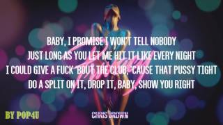 Chris Brown  Privacy Lyrics [upl. by Eimma]