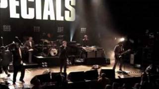 The Specials Live  Do The Dog [upl. by Neitsabes]