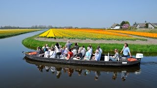 Keukenhof Gardens [upl. by Ursala]