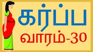 Pregnancy  Tamil  Week by Week  Week 30 [upl. by Agata]