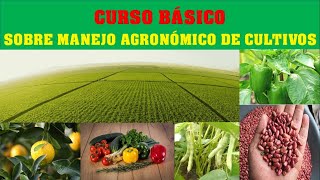 CURSO BÁSICO DE AGRONOMÍA GRATIS CON DIPLOMA ciencia [upl. by Nolham]