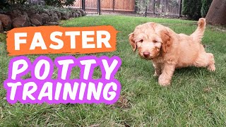 6 Potty Training Secrets NOBODY Shares 🐶 Seriously try these with your puppy [upl. by Elyk]