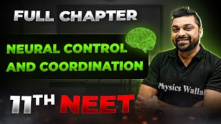 Neural Control and Coordination FULL CHAPTER  Class 11th Zoology  Arjuna NEET [upl. by Christabel144]