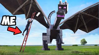 Worlds Largest Ender Dragon [upl. by Etep456]