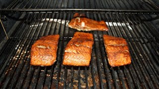 Smoked Salmon Fillets  Traeger Outdoor Grill [upl. by Matthiew]