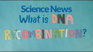 What is DNA recombination  Science News [upl. by Aissert]