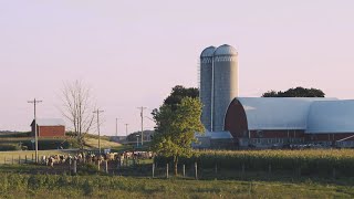 Working Together Hildebrandt Family Farms [upl. by Yenruogis]