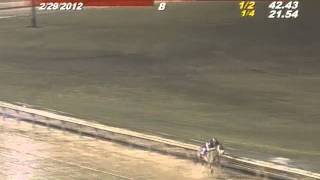 Worst Horse Racing Accident Ive ever seen [upl. by Tamera]