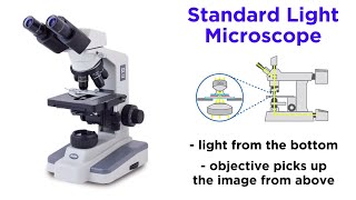 Light Microscopy Function and Utility [upl. by Nylyak87]