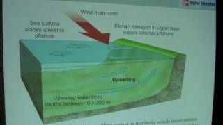 World Ocean Circulation  Upwelling [upl. by Muir]