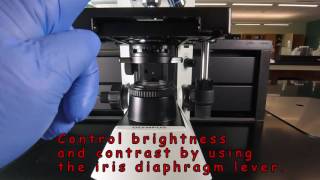 Use of the Microscope  Preliminary Tips [upl. by Alford]