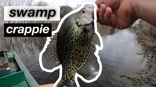 SACALAIT crappie fishing in LOUISIANA [upl. by Yauqram802]