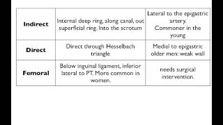 Anatomy  hernias [upl. by Eillas]