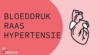 Bloeddruk RAAS en hypertensie [upl. by Ryle]