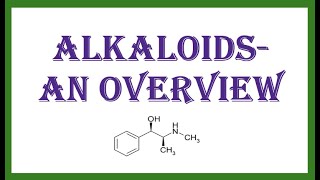 Alkaloids an overview [upl. by Kcirdahc]