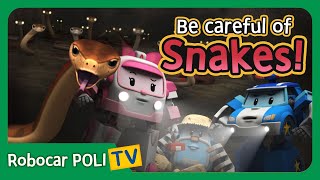 Be careful of Snakes  Robocar Poli Clips [upl. by Lamdin]