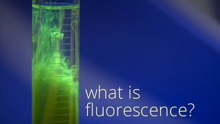 What is Fluorescence [upl. by Ecinue266]