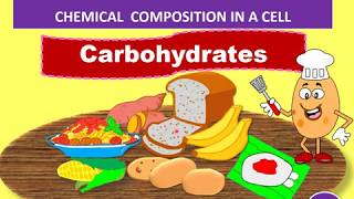 Biology Form 4 KSSM Chapter 4 42 Carbohydrates Part 1 [upl. by Reisinger]