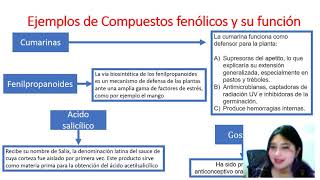 Clase de Metabolitos Secundarios [upl. by Nats464]