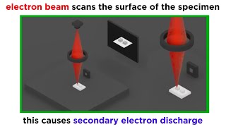 Electron Microscopy TEM and SEM [upl. by Notnelc916]