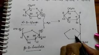 Disachharides Sucrose Maltose and Lactose Chemistry [upl. by Llerrad]