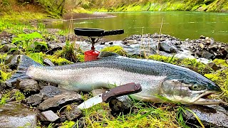 GIANT TROUT FISHING in PRISTINE WATERS Steelhead Catch amp Cook [upl. by Eulalie]