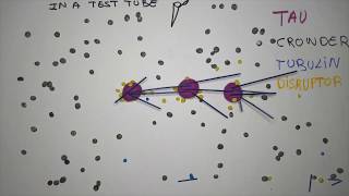 Microtubule nucleation through phase separation [upl. by Anej]