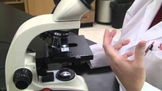 Introduction to the Light Microscope [upl. by Mundy]