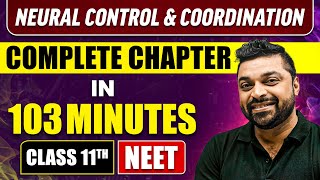 NEURAL CONTROL AND COORDINATION in 103 Minutes  Full Chapter Revision  Class 11th NEET [upl. by Jameson]