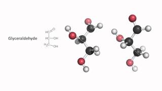 Monosaccharides and stereochemistry [upl. by Davilman596]